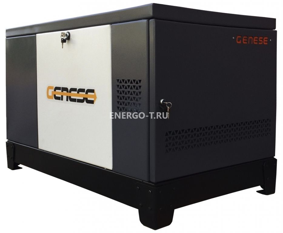 Газовый генератор  Pro 17000 Neva в кожухе с АВР